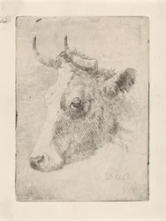 Head of a Bull