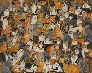 Double Cat-Spread