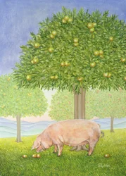 Left Hand Orchard Pig