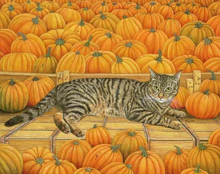 The Pumpkin-Cat