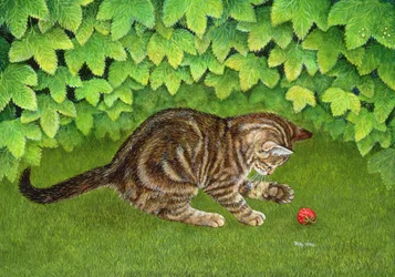 The Strawberry-Kitten