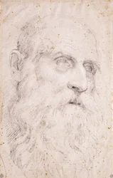 The Head of Saint Jerome
