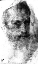 Bearded Man
