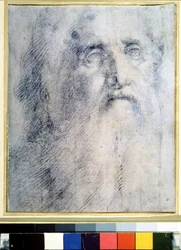 Human Portrait Study with a Beard