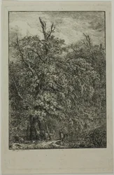 Great Tree