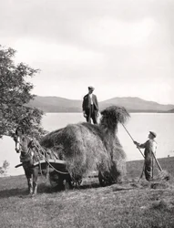 Loading hay onto a wagon on the shores of Loch Lomond, Scotland, 1924-1926