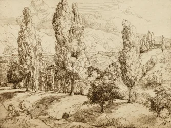 Fields of Asolo