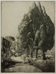 The Cypress Grove