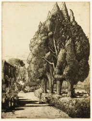 The Cypress Grove