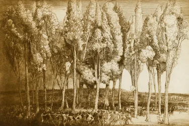 The Dance of Spring