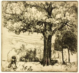 The Great Oak