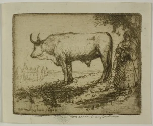 The White Ox