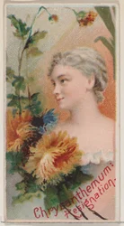 Chrysanthemum: Resignation, from the series Floral Beauties and Language of Flowers N75 ..., 1892.