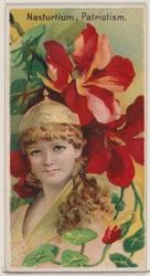 Nasturtium: Patriotism, from the series Floral Beauties and Language of Flowers N75, 1892