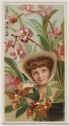 Orchid: Trust, from the series Floral Beauties and Language of Flowers N75 for Duke brand