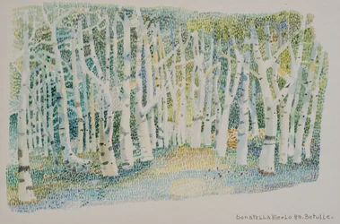 Birch forest