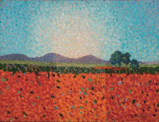 Poppy field, c.1983 or 1988