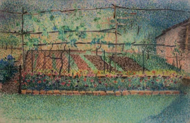 The vegetable garden