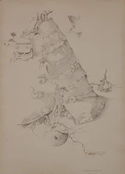 Till you return to the ground, for out of it you were taken, Genesis