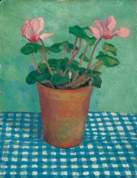 Cyclamen in a Pot