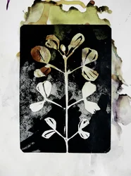 Earthy Botanical Form