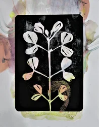 Pastel Botanical Study