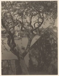 Harbor Scene, Probably Gloucester, Massachusetts