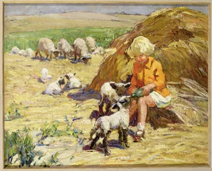 Feeding the Lambs