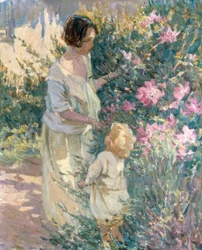 Spring Blossom