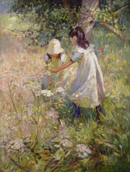Picking Wild Flowers