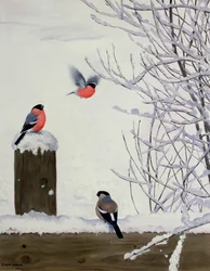 Bullfinches on a Snowy Fence