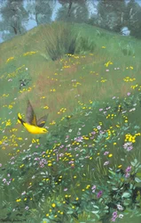 Golden Oriel in Spring Flowers