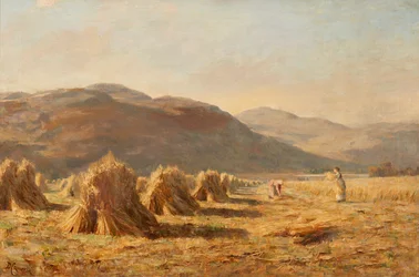 Harvesting Near Dumyat, Ochil Hills