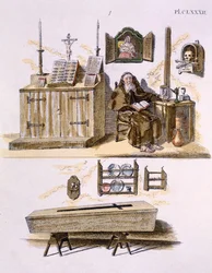 Illustration from Magazine of Garden Gems by G. van Laar, published 1802