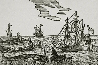 Whaling ships, from Jacob Segersz van der Brugge