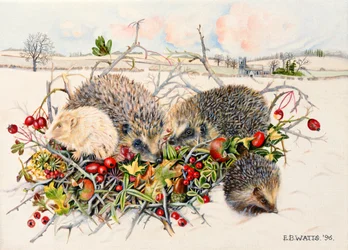 Hedgehogs in Hedgerow Basket, 1996