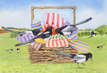 Magpies, 1990