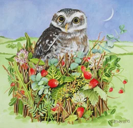 Owl in a Woodland Basket, 1993