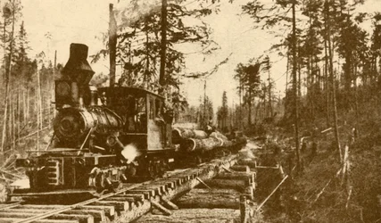 A Logging Railway, British Columbia