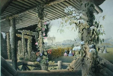View from the Rustic Seat, Shrublands, from 
