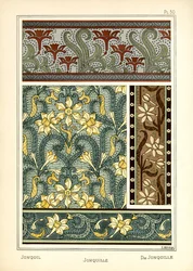 The Jonquil