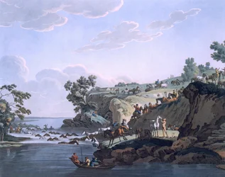 Horses Crossing a River