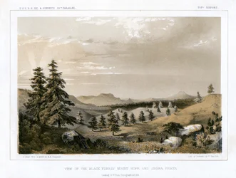 The Black Forest Mount Hope and Sierra Prieta, USA