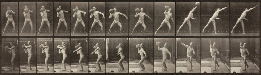 Animal Locomotion, Plate 319