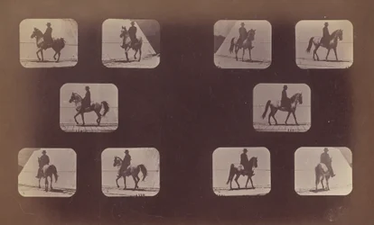 Studies of Foreshortenings. Horses. Walking. Mahomet. Nos. 119-120, 1879
