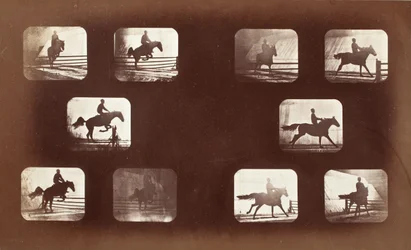 Animal Locomotion (Man on Horse over Hurdles)