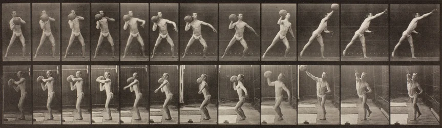 Animal Locomotion, Plate 319