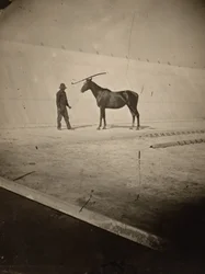 Detail of the Track at Leland Stanford