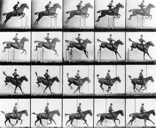 Man and Horse jumping, from 