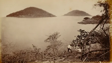 Perico and Flamenco from Island of Naos, Panama